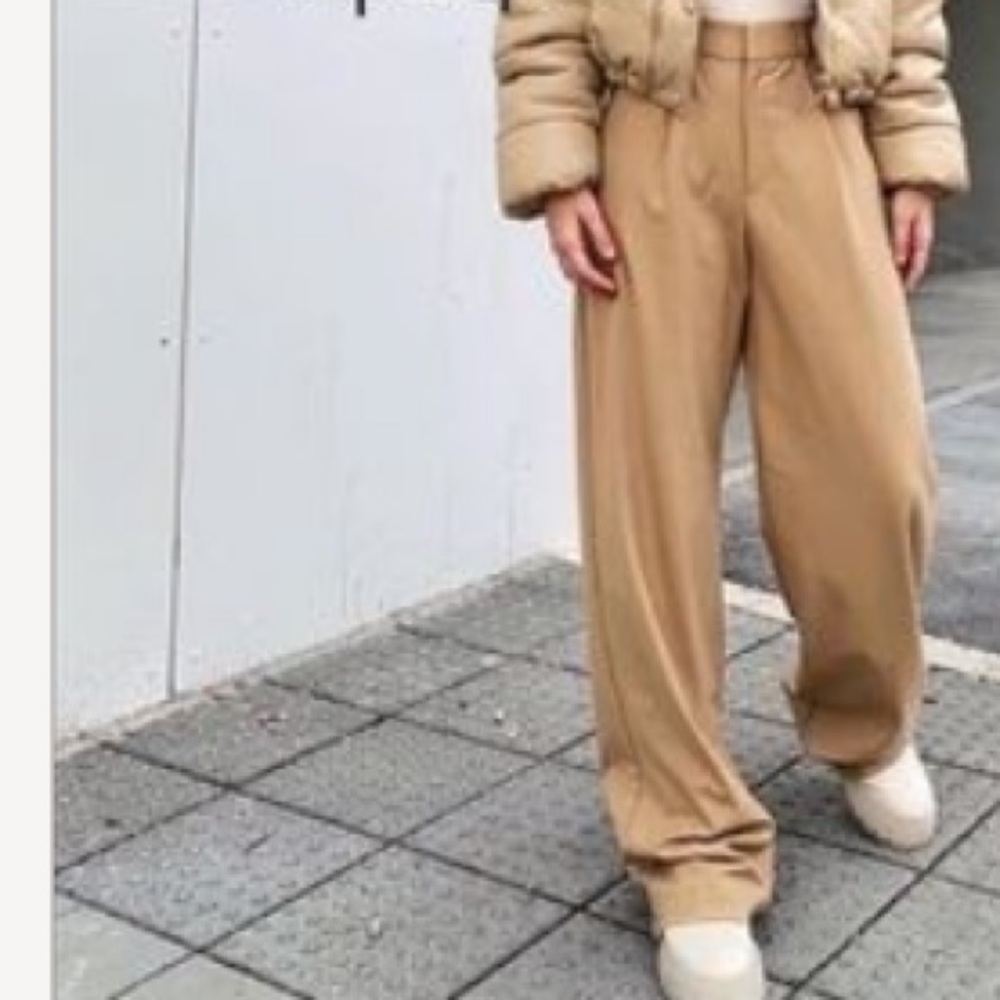 Zara wide leg pleated pants
